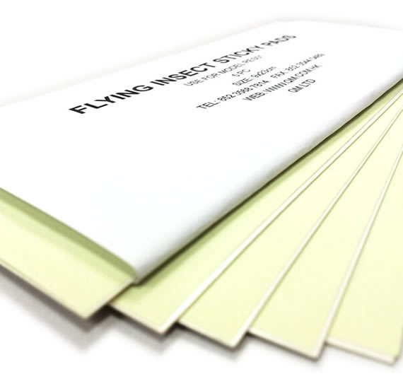 掛牆滅蚊燈蚊貼紙板