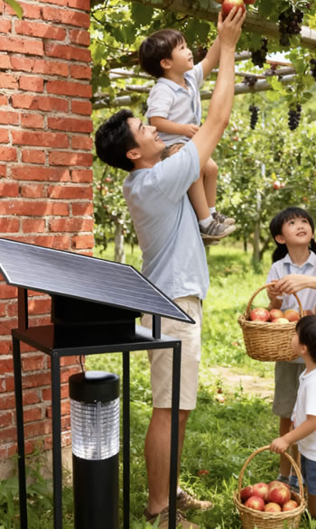 農莊內愉快摘水果體驗